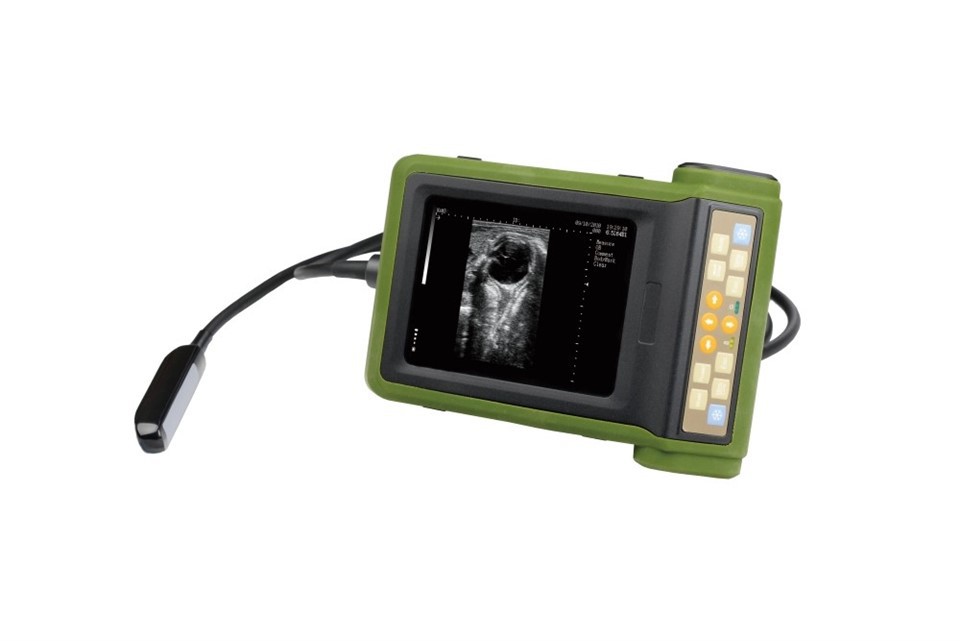 Portable Ultrasound Scanner Veterinary Pregnancy FTL-RKU10 factory