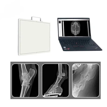 M1717V Paneeldetector